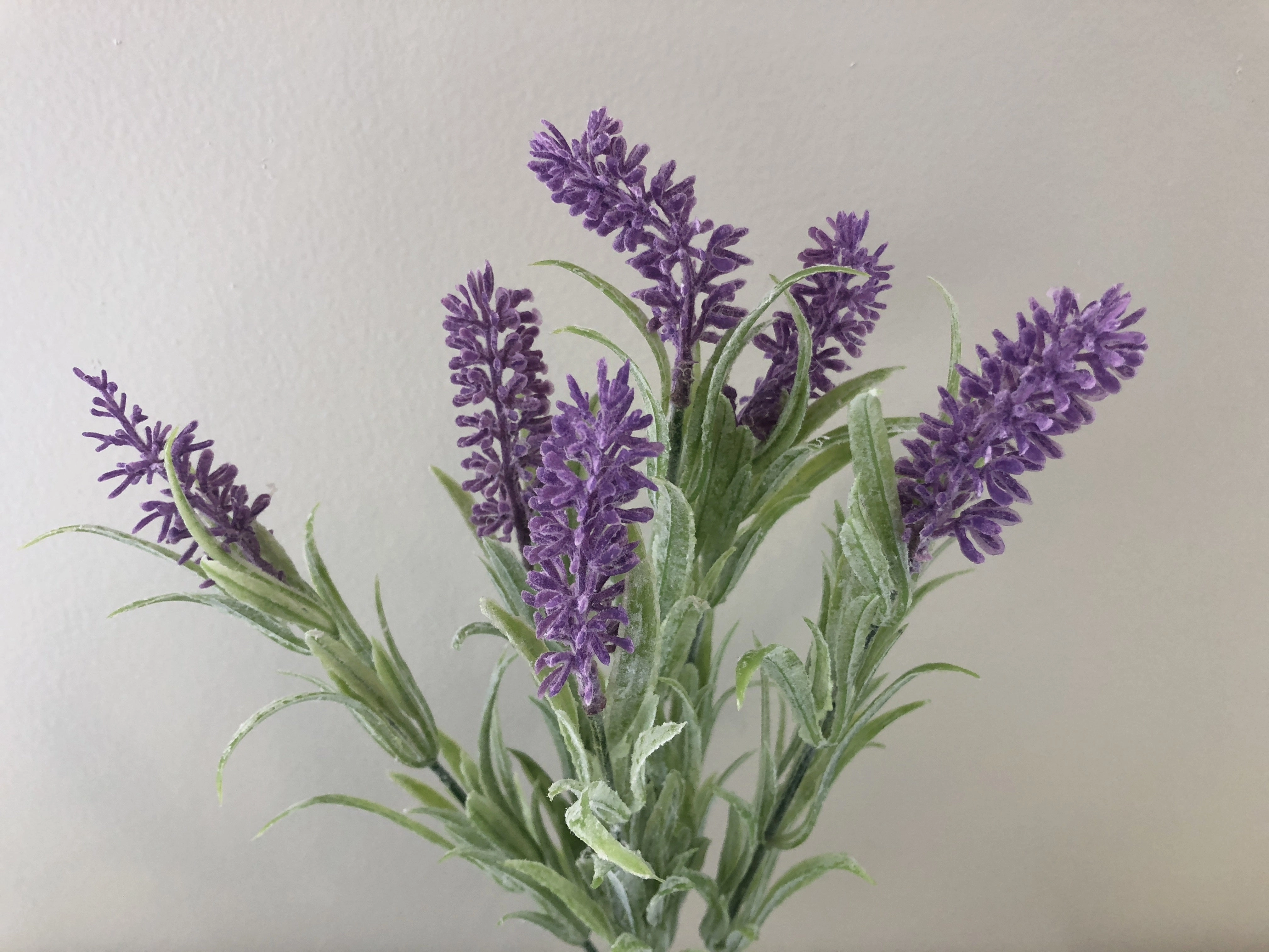 SP0092 Lavender Bunch 32cm Purple