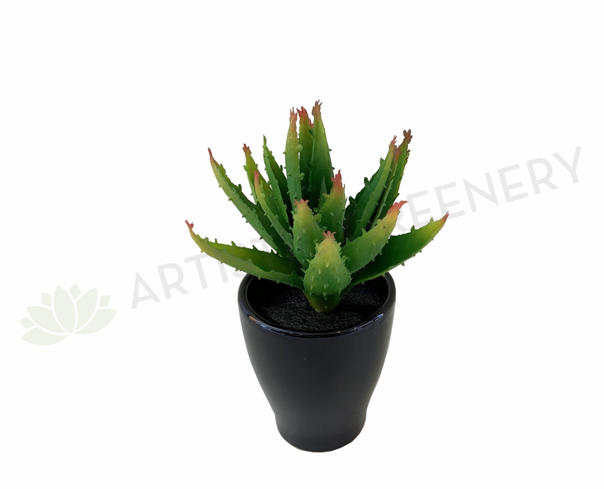 SP0125G Small Aloe Vera 14cm Green mini ornamental plant  
