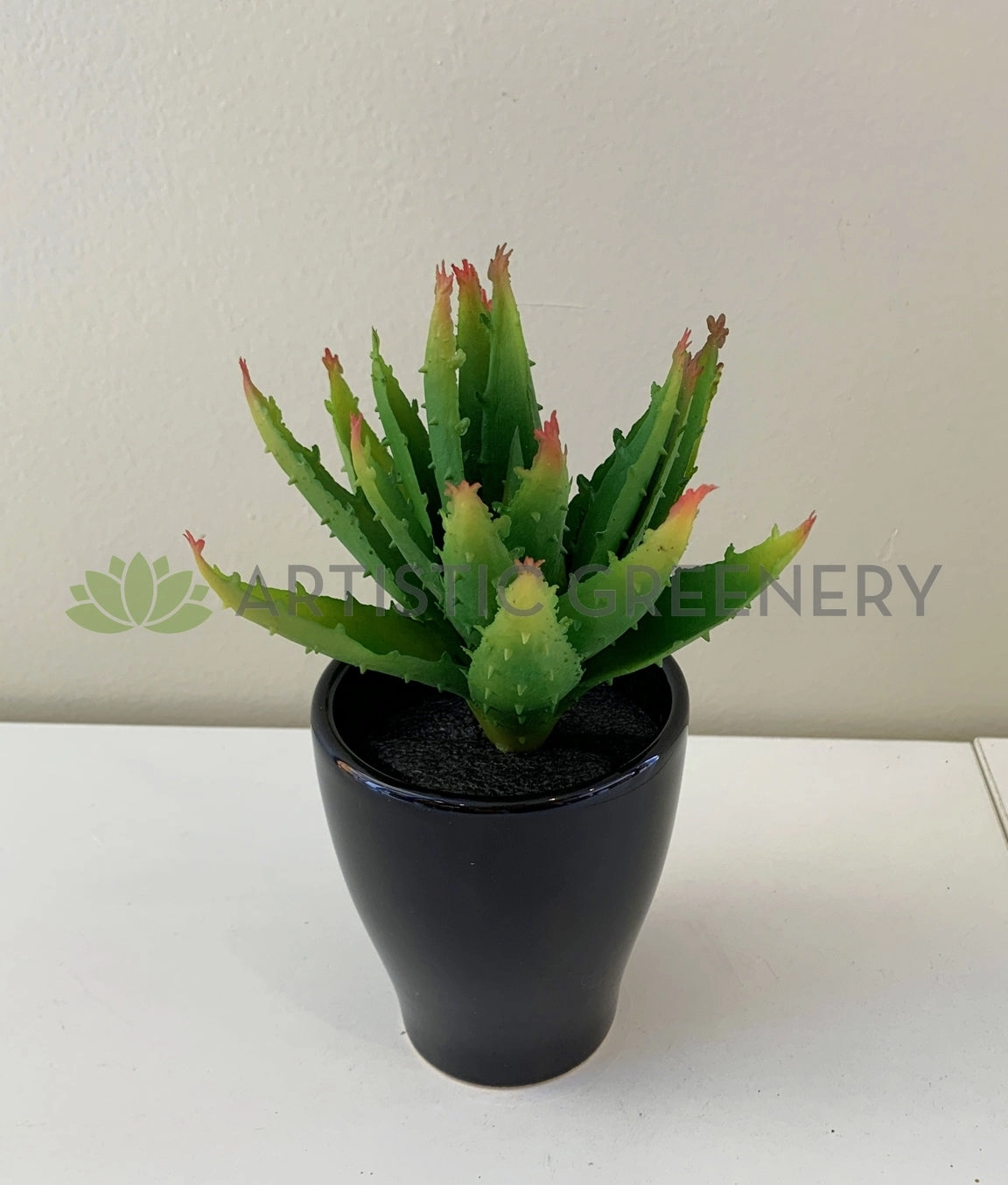 SP0125G Small Aloe Vera 14cm Green