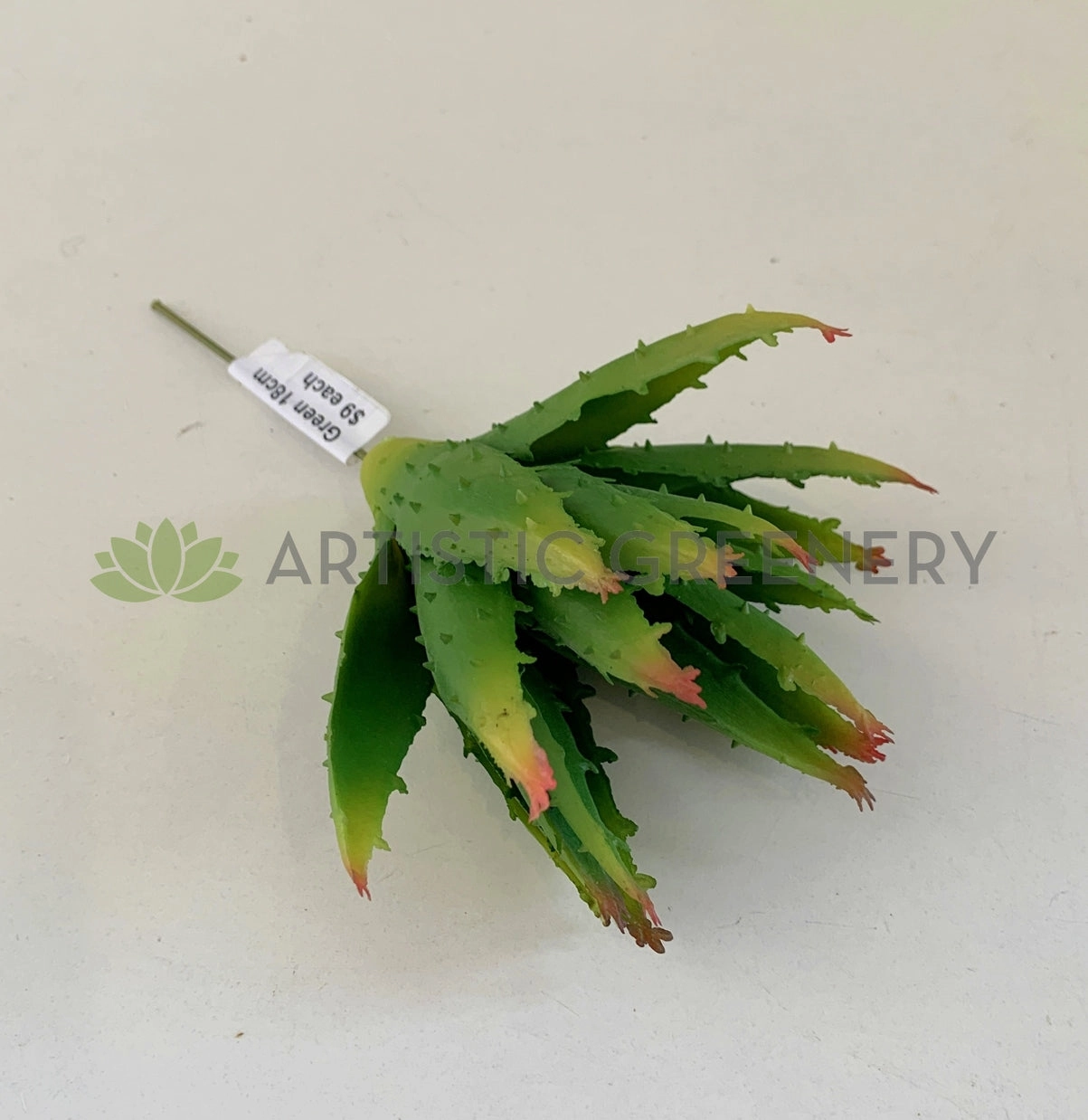 SP0125G Small Aloe Vera 14cm Green