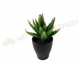 SP0125G Small Aloe Vera 14cm Green mini ornamental plant  