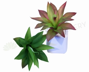 SP0126 Small Dracena Real Touch 22cm mini ornamental plant  