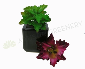 SP0127 Small Succulent Real Touch 12cm Green / Red mini ornamental plant  