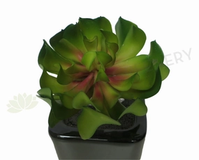SP0129 Small Succulent Red Center 14cm Real Touch mini ornamental plant  