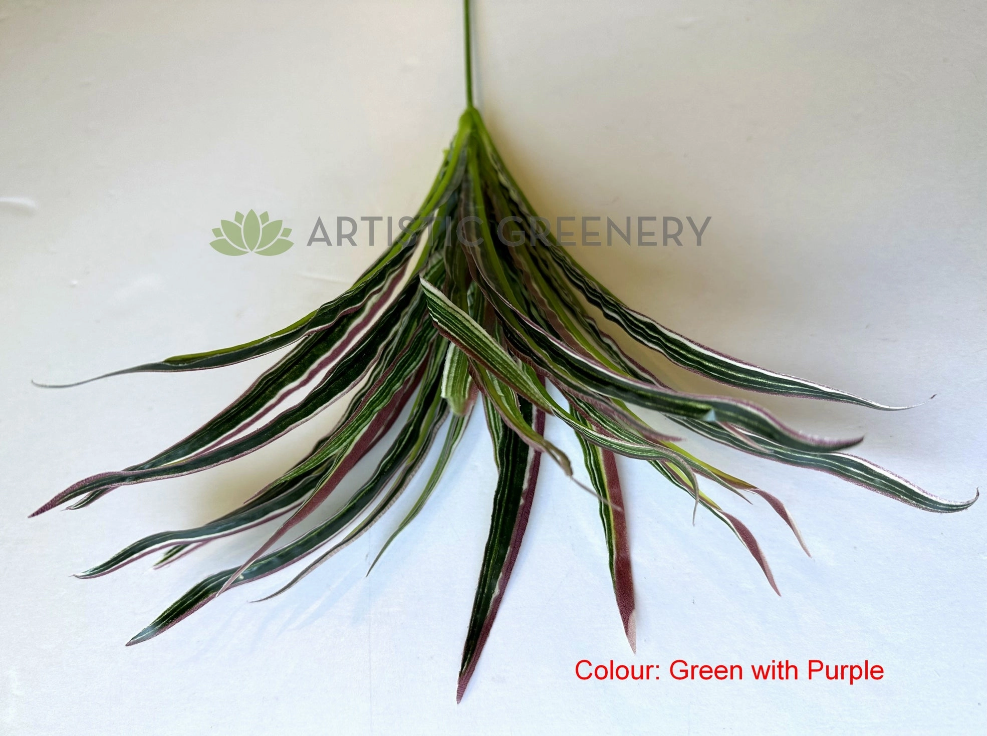 SP0131N Spider Plant/Small Dracena 47cm 3 Styles