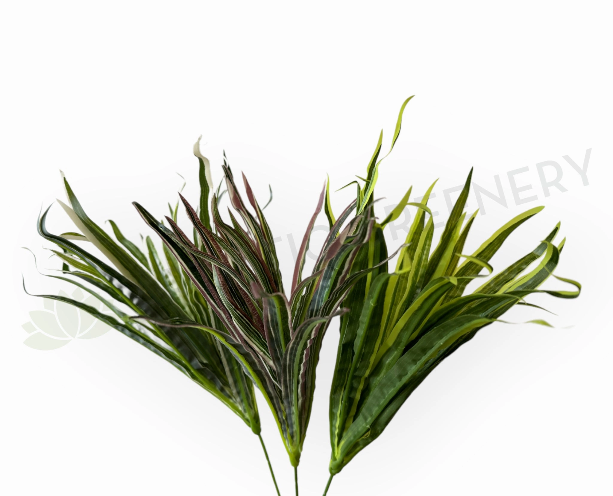 SP0131N Spider Plant/Small Dracena 47cm 3 Styles xl flower pot  
