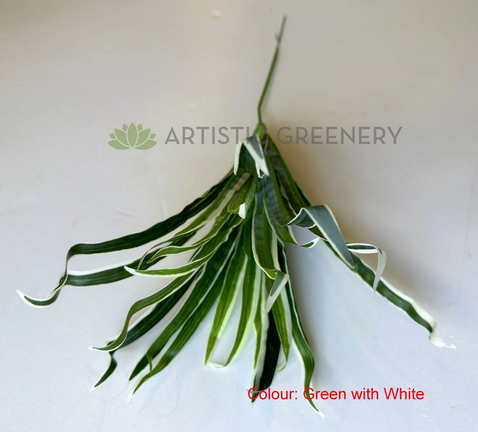 SP0131N Spider Plant/Small Dracena 47cm 3 Styles