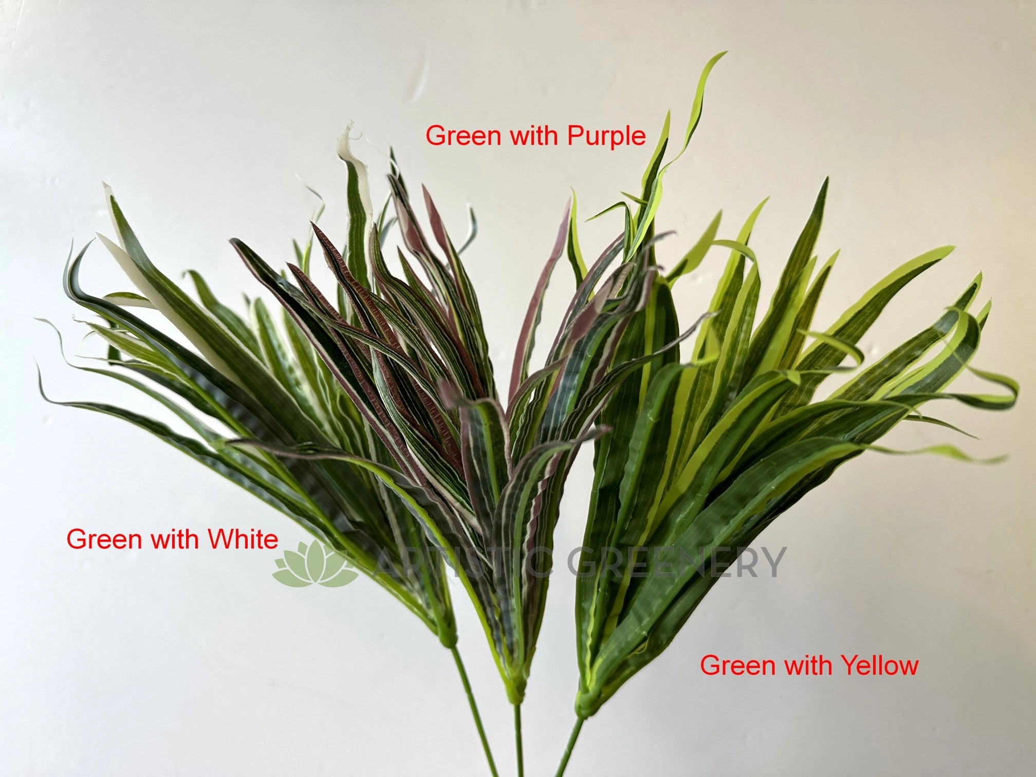 SP0131N Spider Plant/Small Dracena 47cm 3 Styles