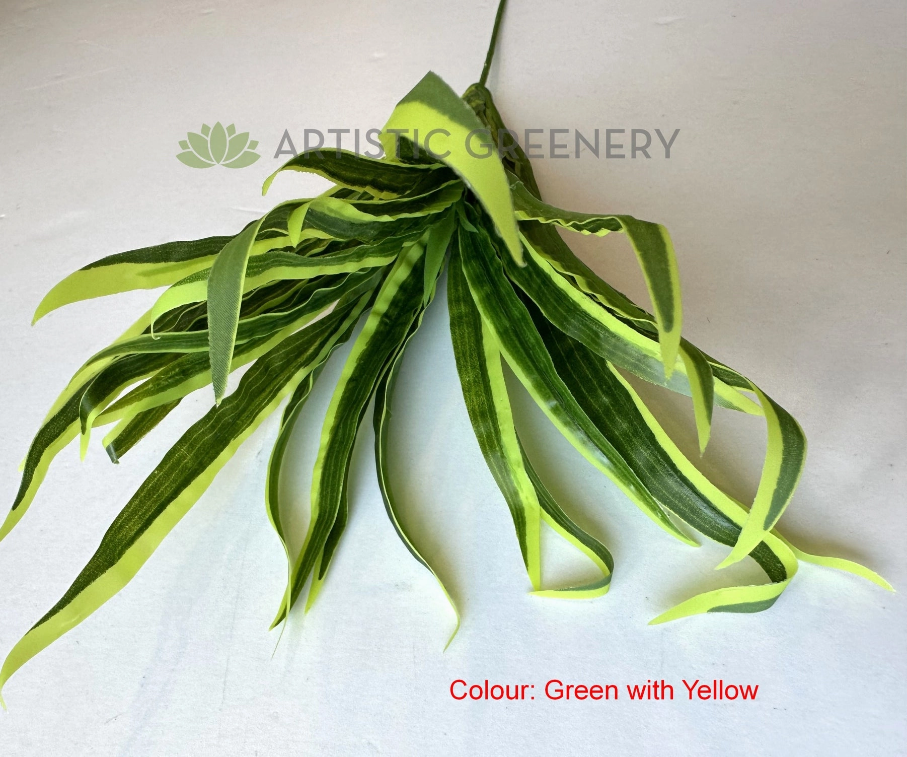 SP0131N Spider Plant/Small Dracena 47cm 3 Styles