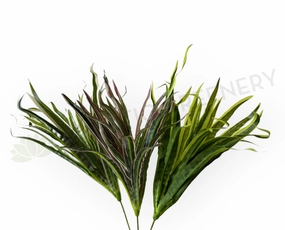 SP0131N Spider Plant/Small Dracena 47cm 3 Styles xl flower pot  