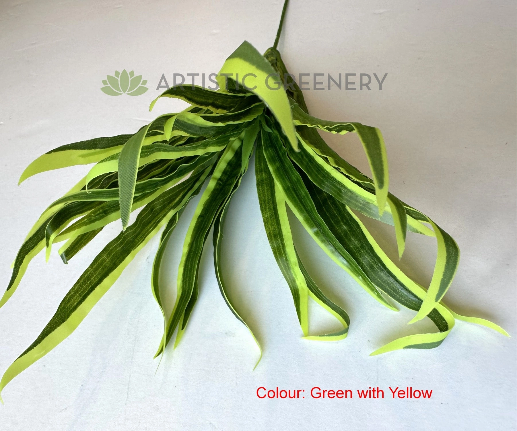 SP0131N Spider Plant/Small Dracena 47cm 3 Styles