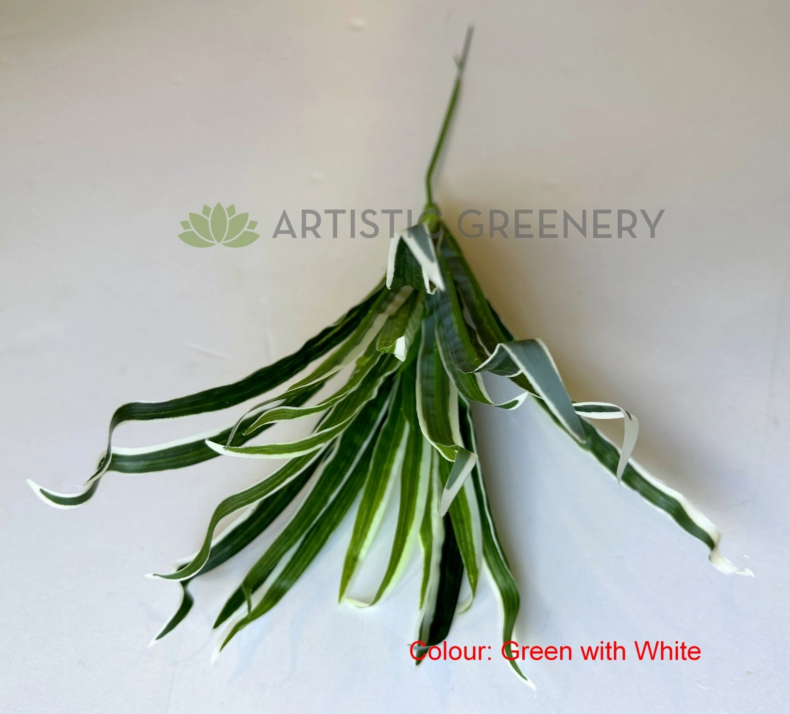 SP0131N Spider Plant/Small Dracena 47cm 3 Styles