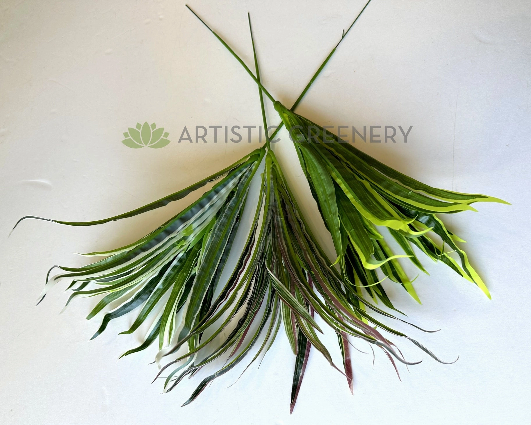 SP0131N Spider Plant/Small Dracena 47cm 3 Styles