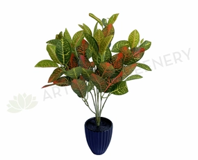SP0134 Nerve Plant / Fittonia 30cm Orange indoor plant stand  