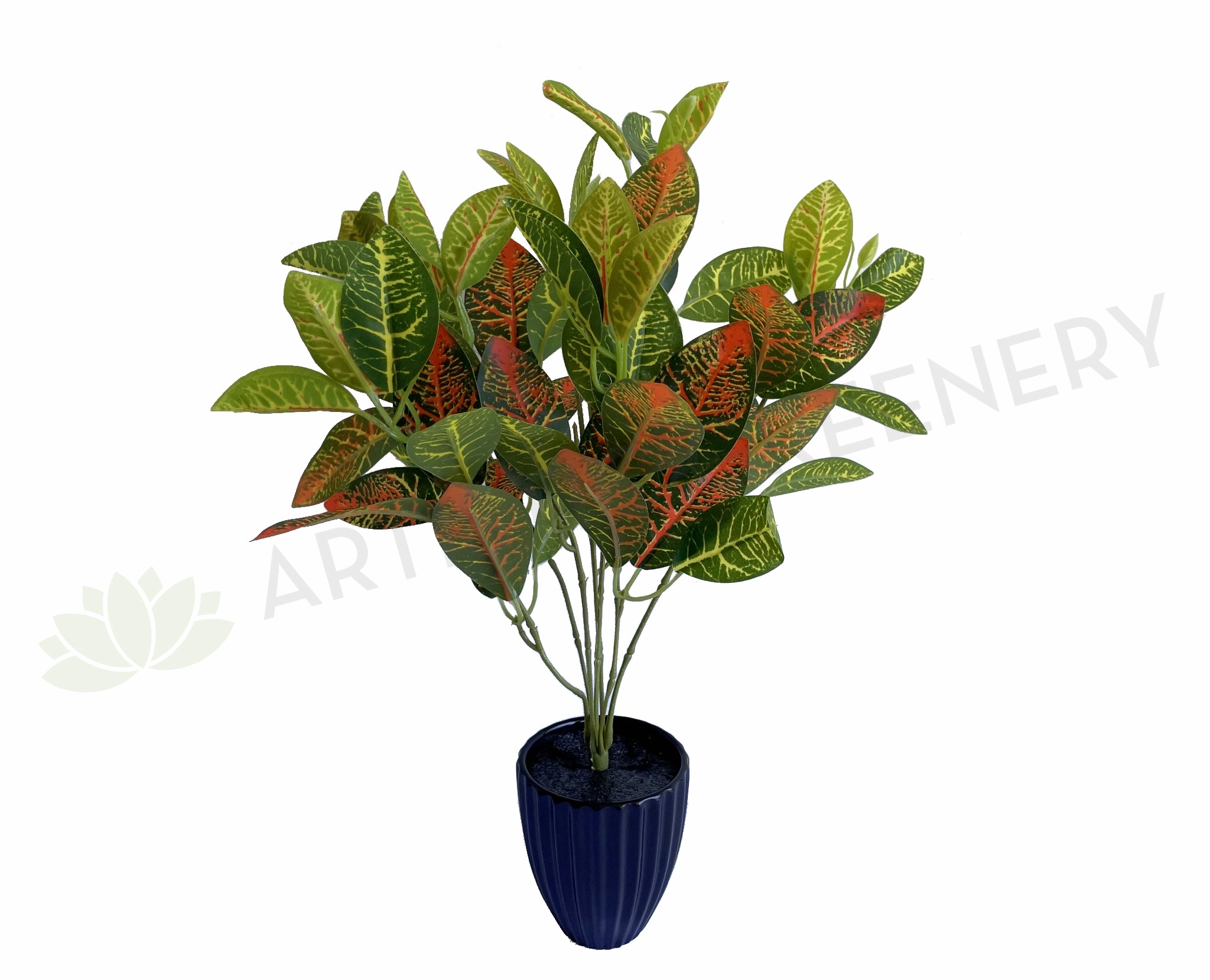 SP0134 Nerve Plant / Fittonia 30cm Orange indoor plant stand  