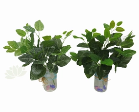 SP0134 Nerve Plant / Fittonia Real Touch 30cm 2 styles indoor plant stand  