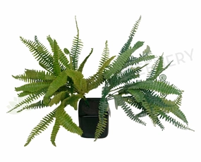 SP0138 Fern Bunch 32cm 2 Styles indoor plant stand  