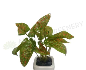 SP0144-C Small Elephant Ear Plant 23cm Real Touch Leaves (Red Speckles) dried green plant  