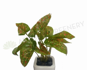SP0144-C Small Elephant Ear Plant 23cm Real Touch Leaves (Red Speckles) xl flower pot  