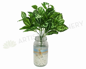 SP0146 Watermelon Pilea (Aluminum Plant) 28cm xl flower pot  