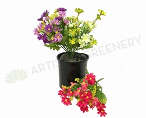 SP0147 Cosmos Bunch 30cm 6 Colours xl flower pot  