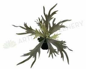 SP0148N Stag Horn Fern 2 Styles indoor plant stand  