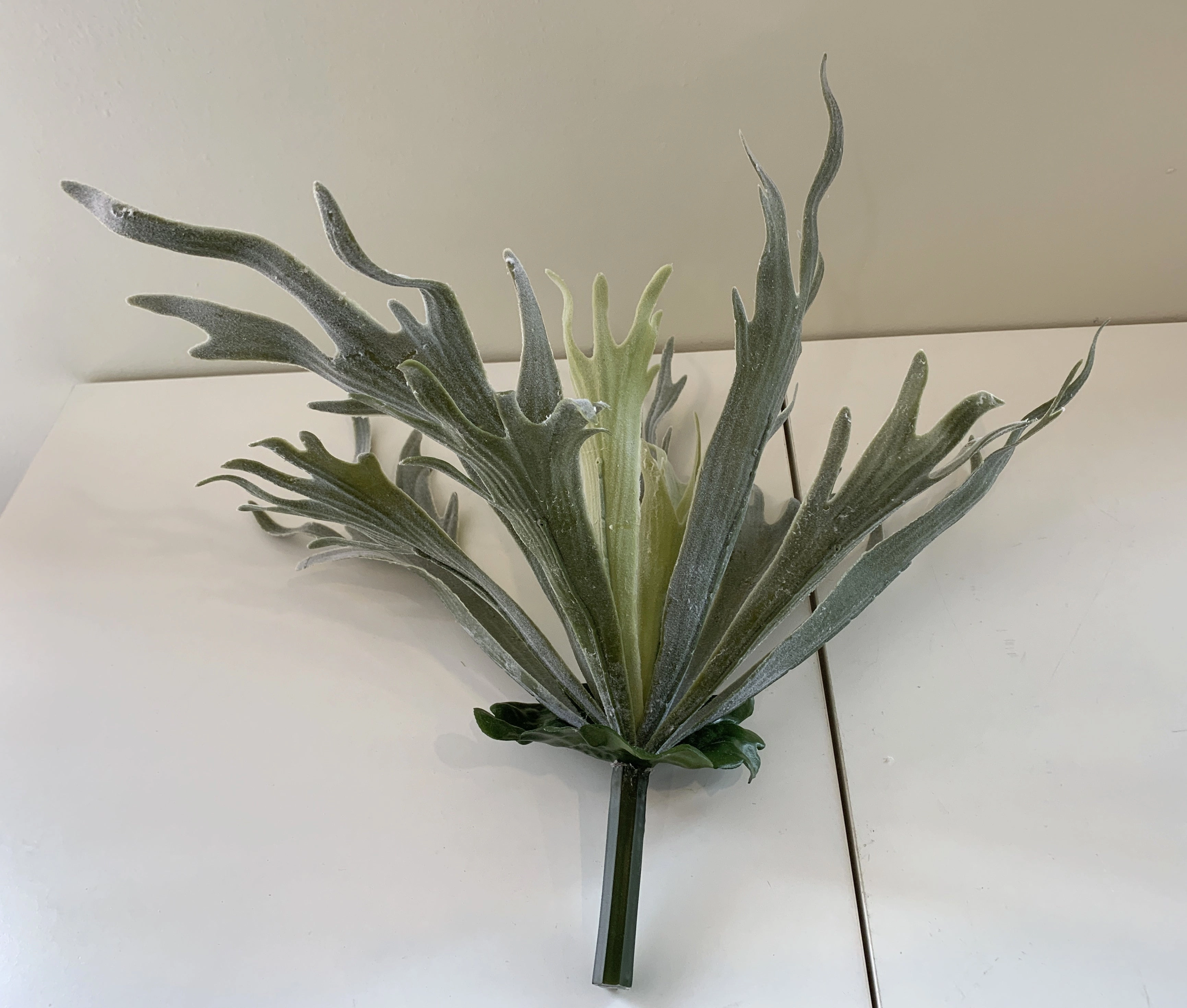 SP0148N Stag Horn Fern 2 Styles