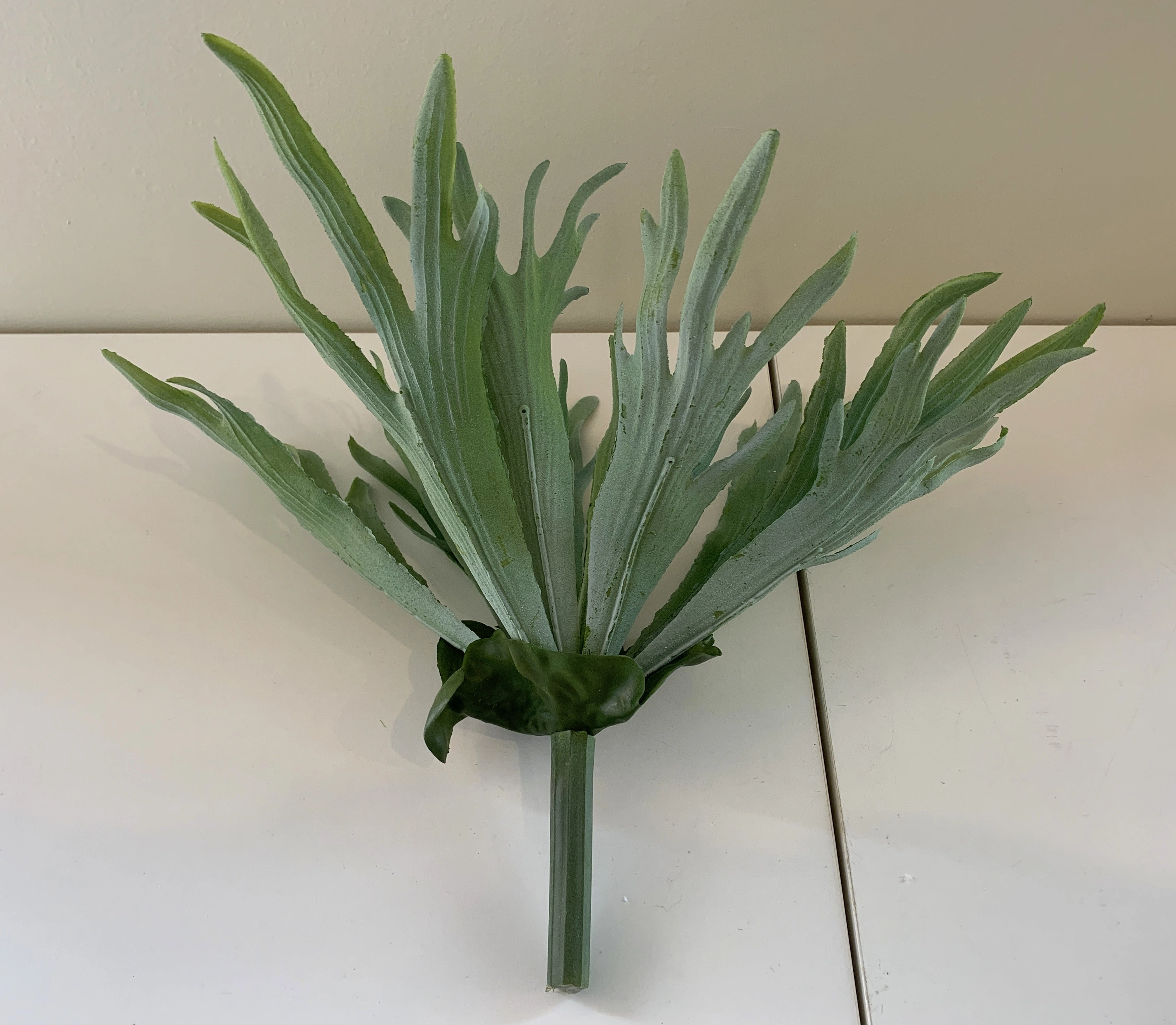 SP0148N Stag Horn Fern 2 Styles