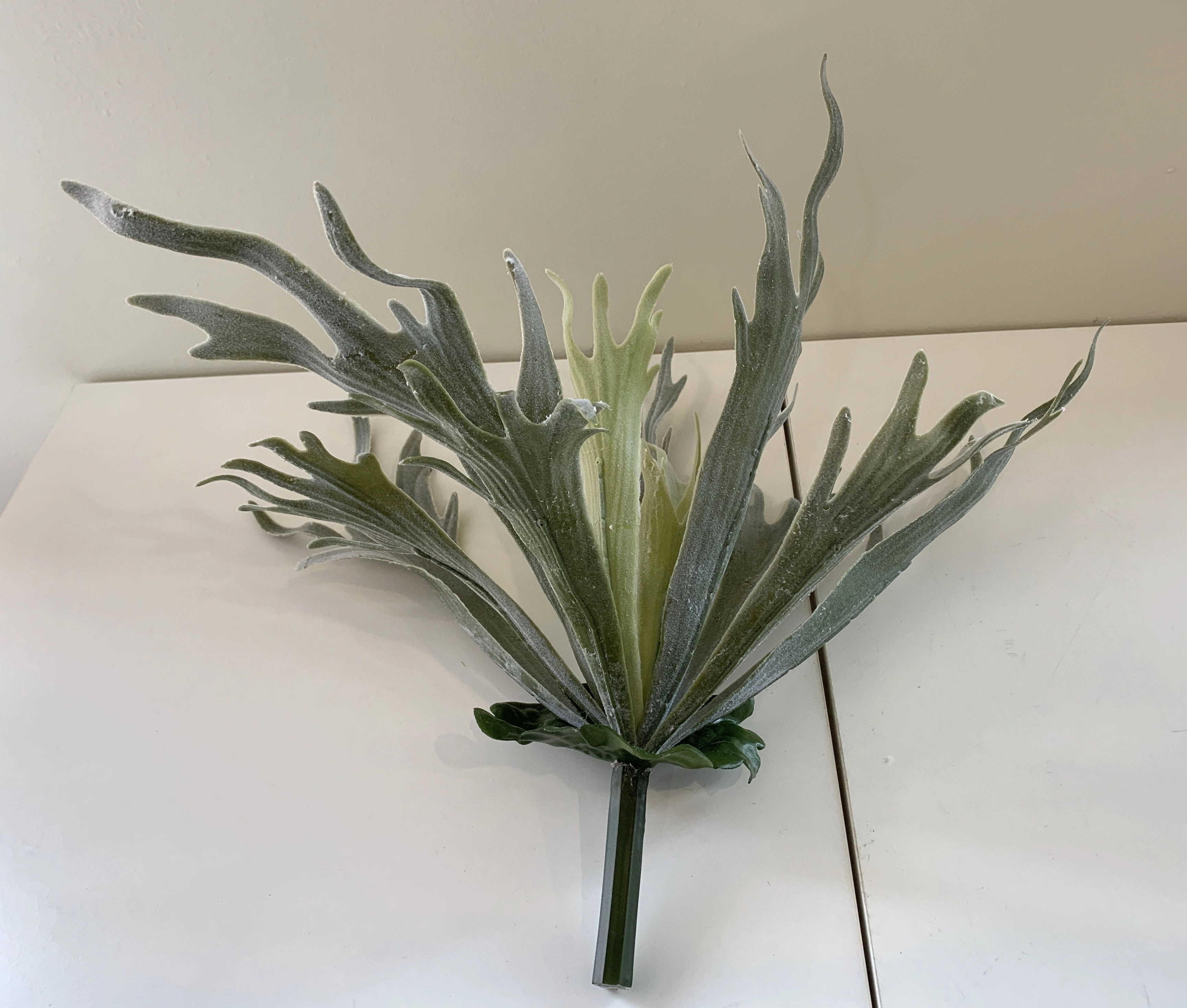 SP0148N Stag Horn Fern 2 Styles