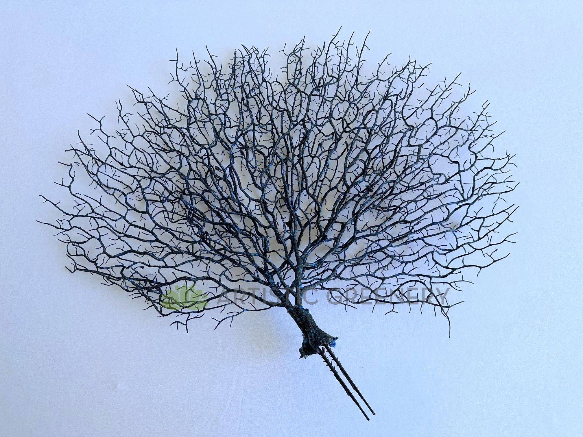 SP0149-S93 Coral Reef Plant Black 50cm (W) x 45cm (H)