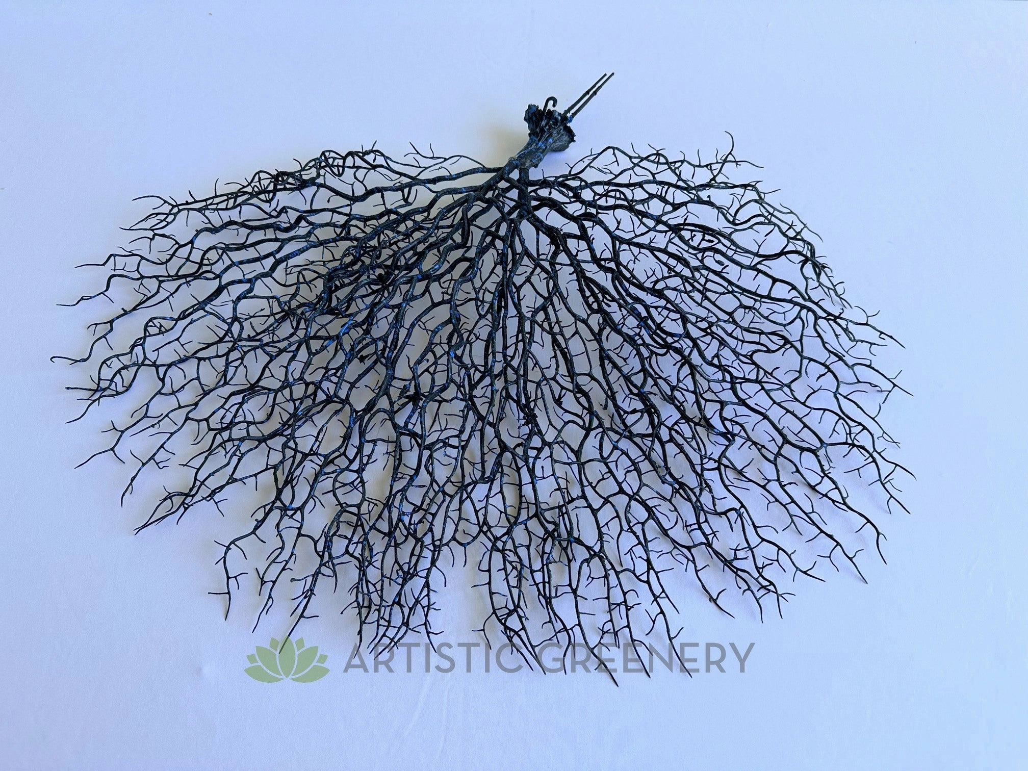 SP0149-S93 Coral Reef Plant Black 50cm (W) x 45cm (H)