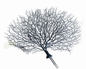 SP0149-S93 Coral Reef Plant Black 50cm (W) x 45cm (H) xl flower pot  