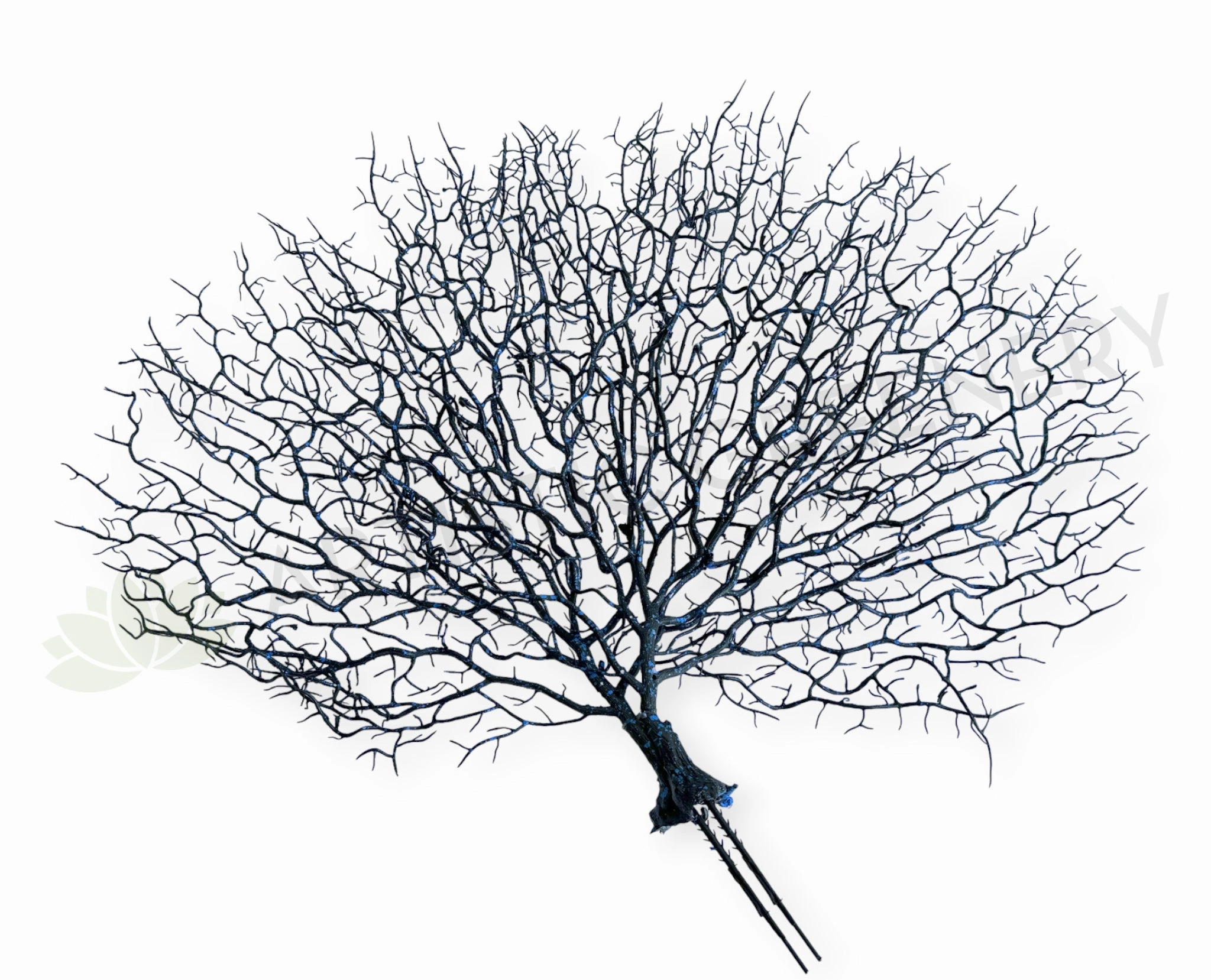 SP0149-S93 Coral Reef Plant Black 50cm (W) x 45cm (H) xl flower pot  