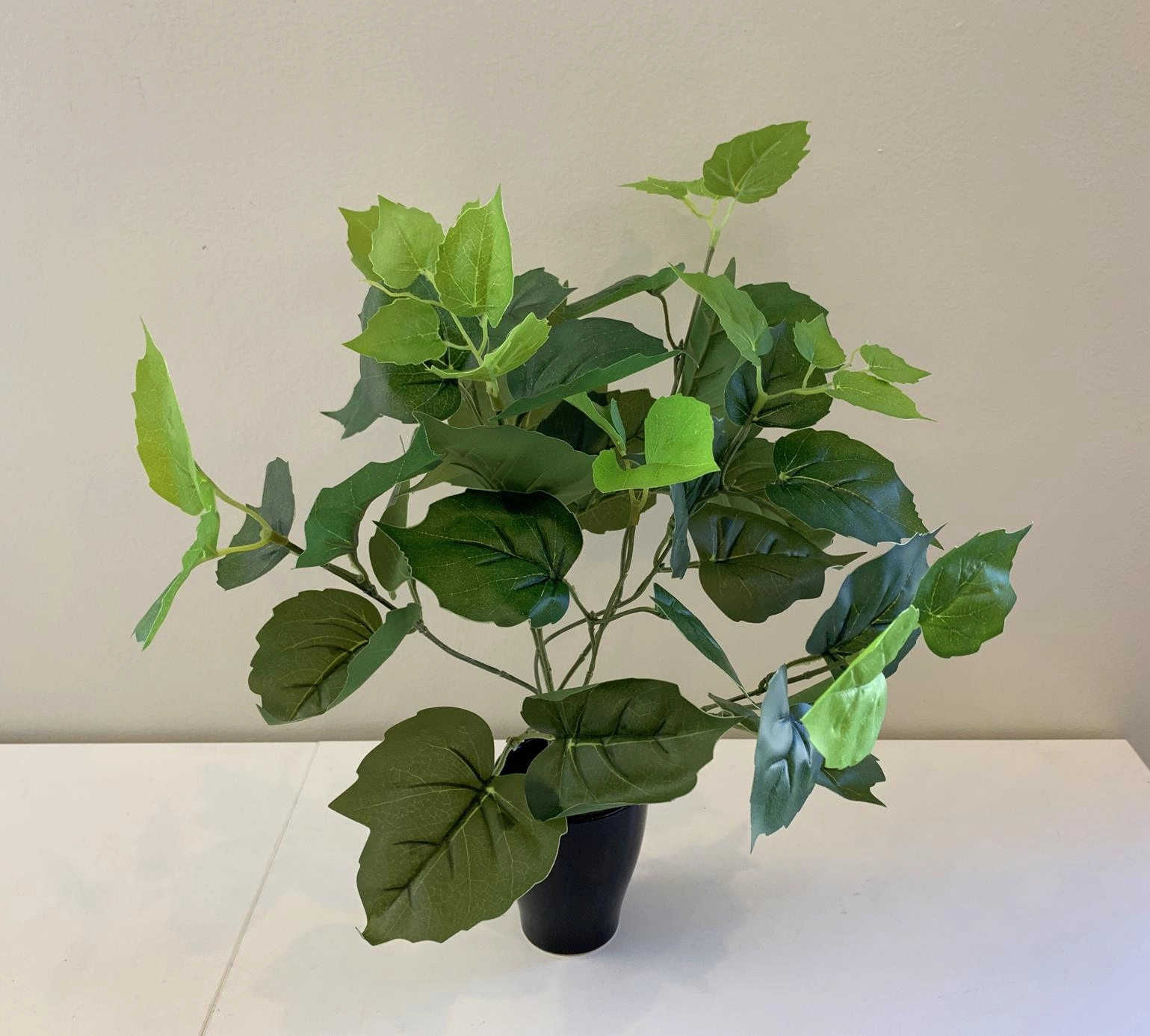 SP0154 Littleleaf Linden Green 2 Sizes 30cm / 38cm