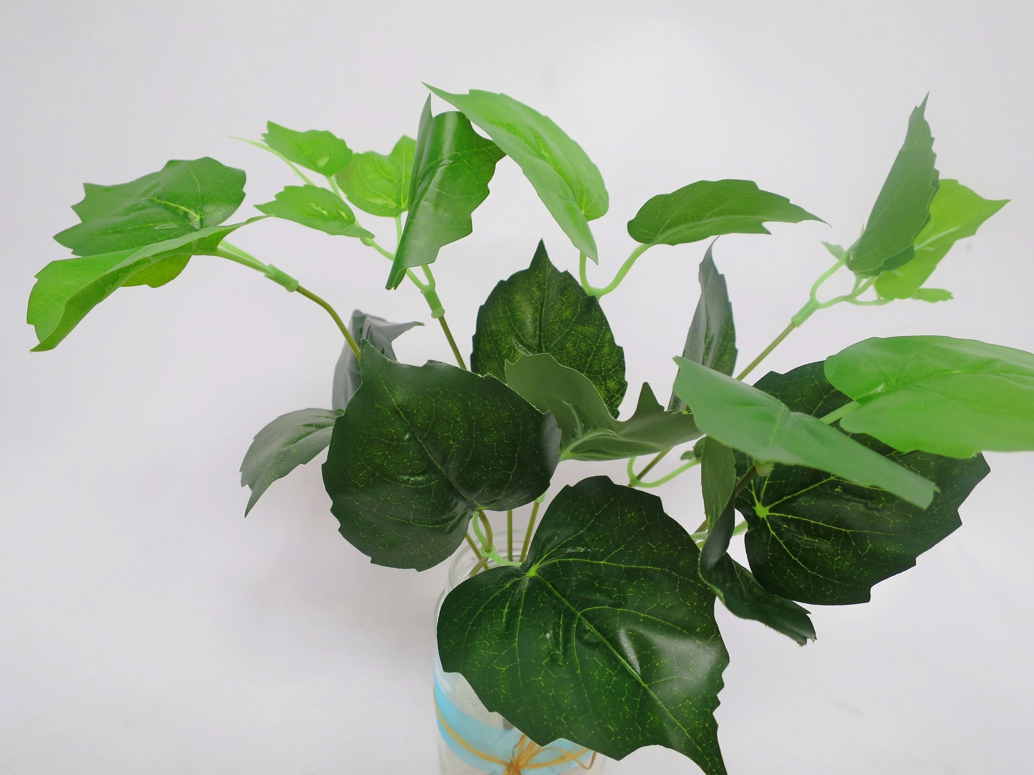 SP0154 Littleleaf Linden Green 2 Sizes 30cm / 38cm