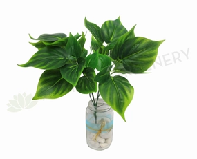 SP0155 Pothos Plant 32cm Glossy Leaves xl flower pot  