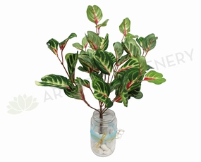 SP0157 Begonias Plant 36cm xl flower pot  