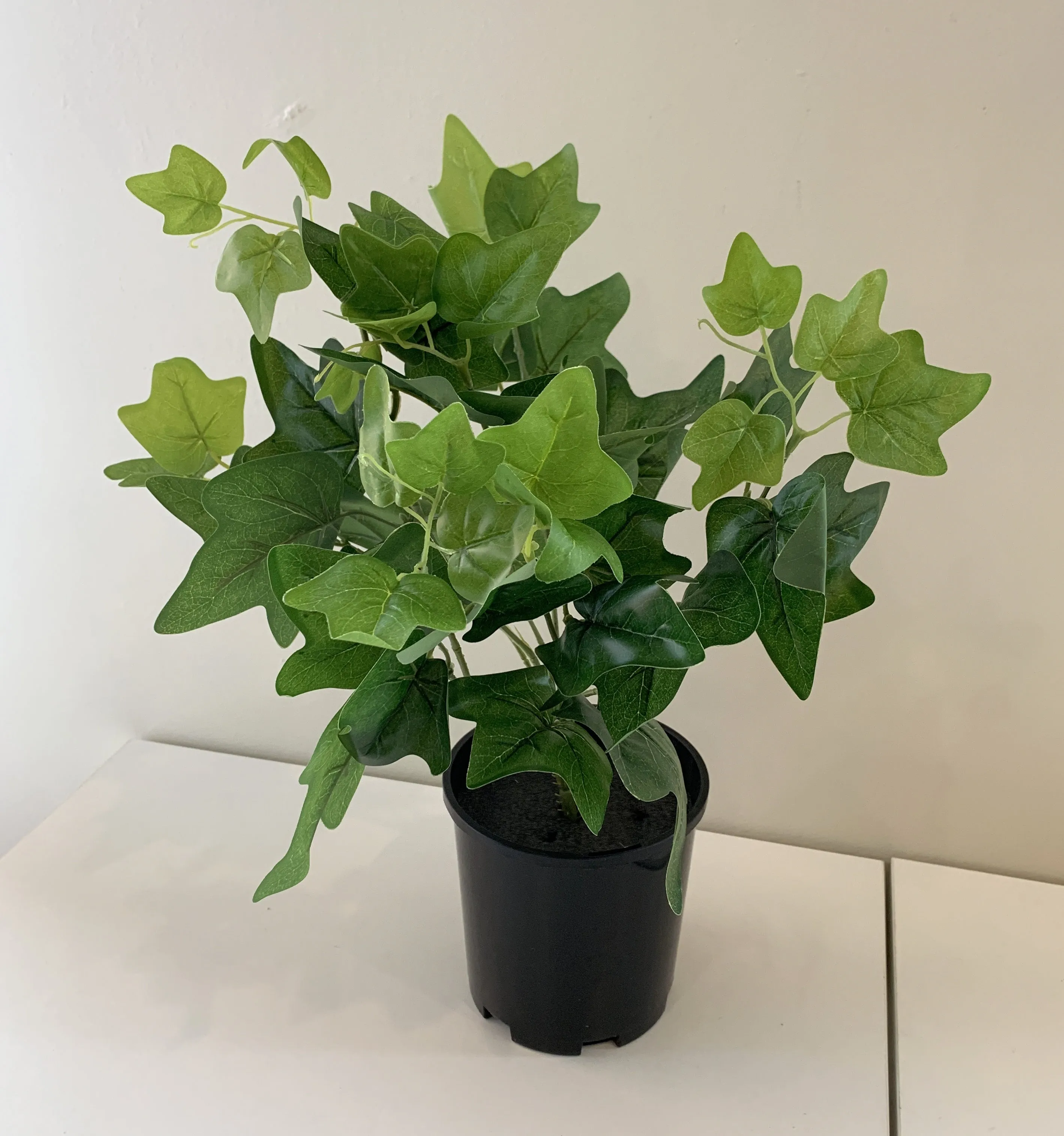 SP0160 Ivy Bunch 32cm Glossy Leaves 2 Sizes