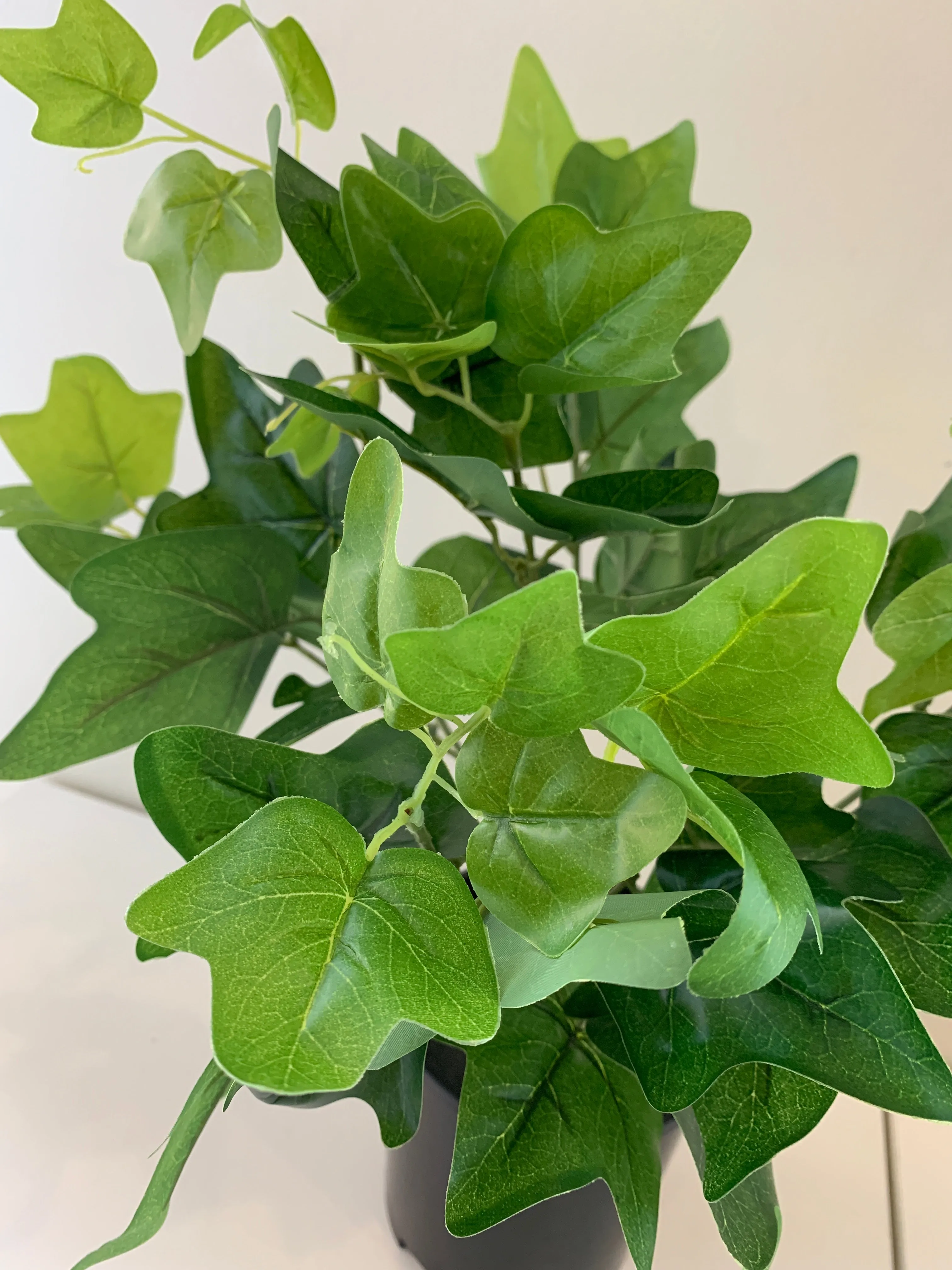 SP0160 Ivy Bunch 32cm Glossy Leaves 2 Sizes