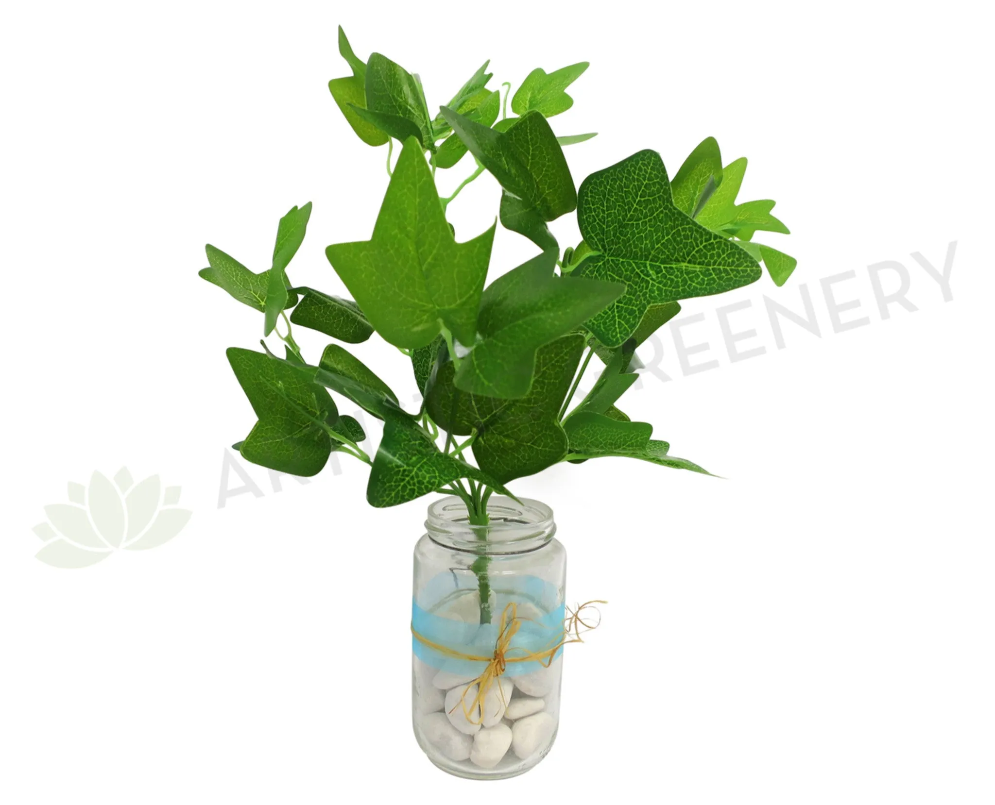 SP0160 Ivy Bunch 32cm Glossy Leaves 2 Sizes dried green plant  
