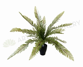 SP0174 Small Boston Fern 35cm Ultra Realistic summer vegetable seed  