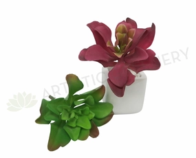 SP0179 Small Succulent Real Touch 24m Green / Red mini ornamental plant  