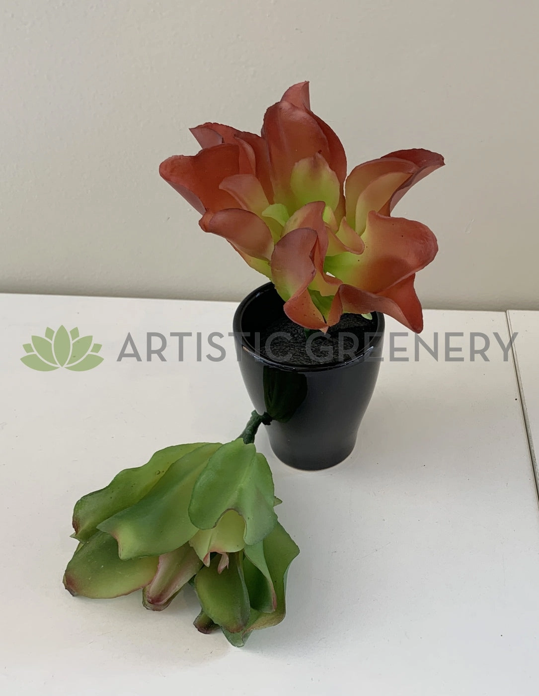 SP0179 Small Succulent Real Touch 24m Green / Red