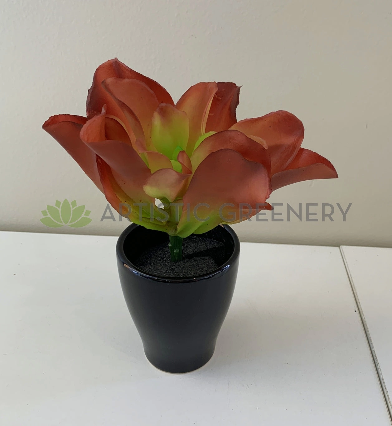 SP0179 Small Succulent Real Touch 24m Green / Red