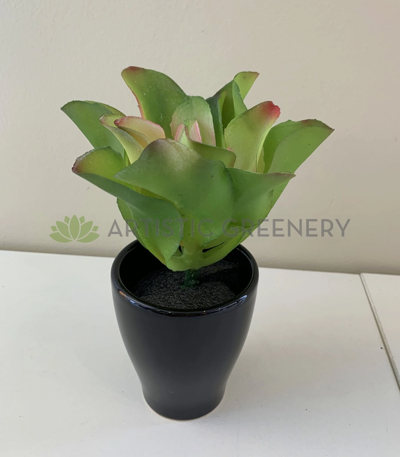 SP0179 Small Succulent Real Touch 24m Green / Red