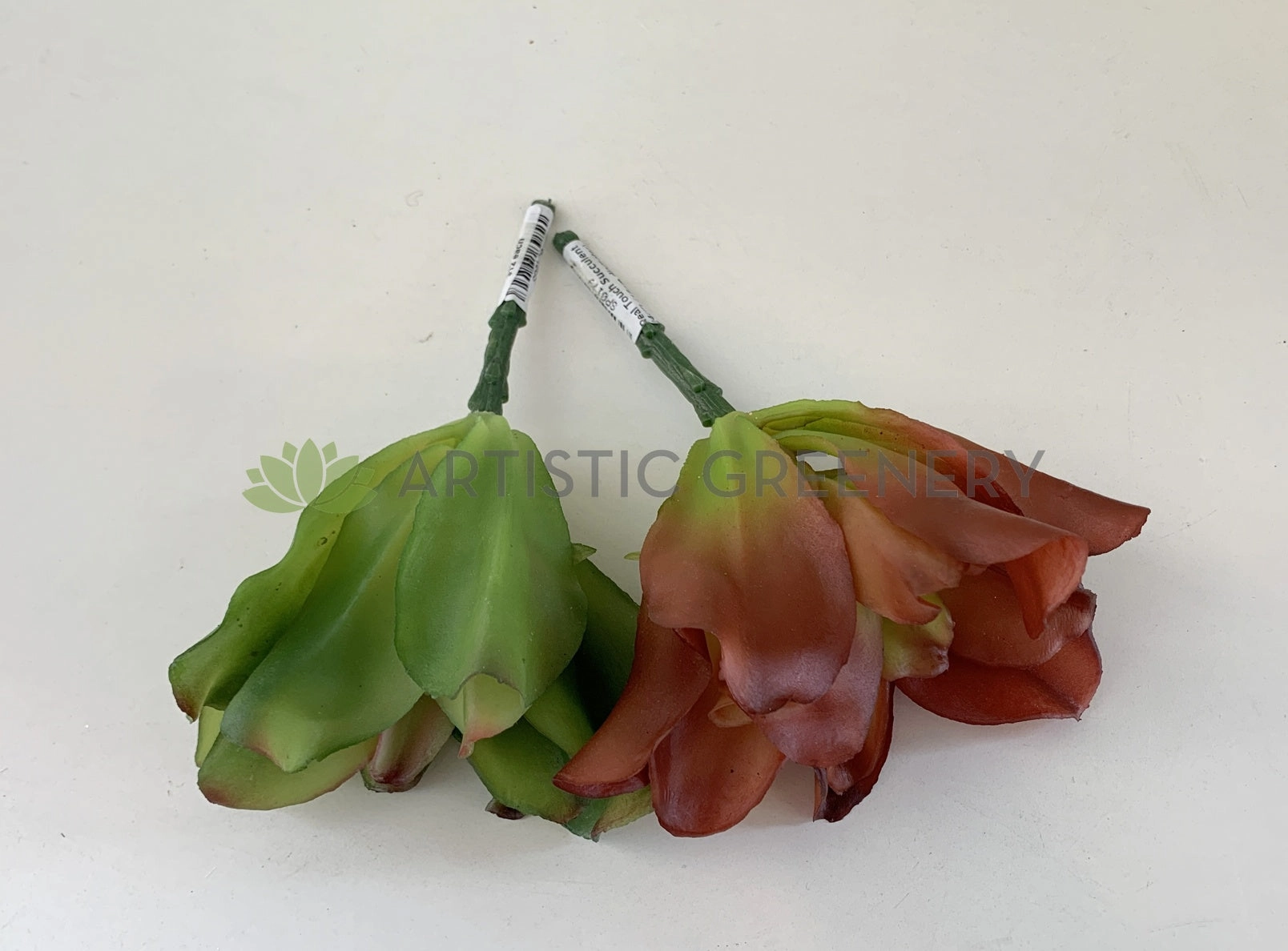 SP0179 Small Succulent Real Touch 24m Green / Red