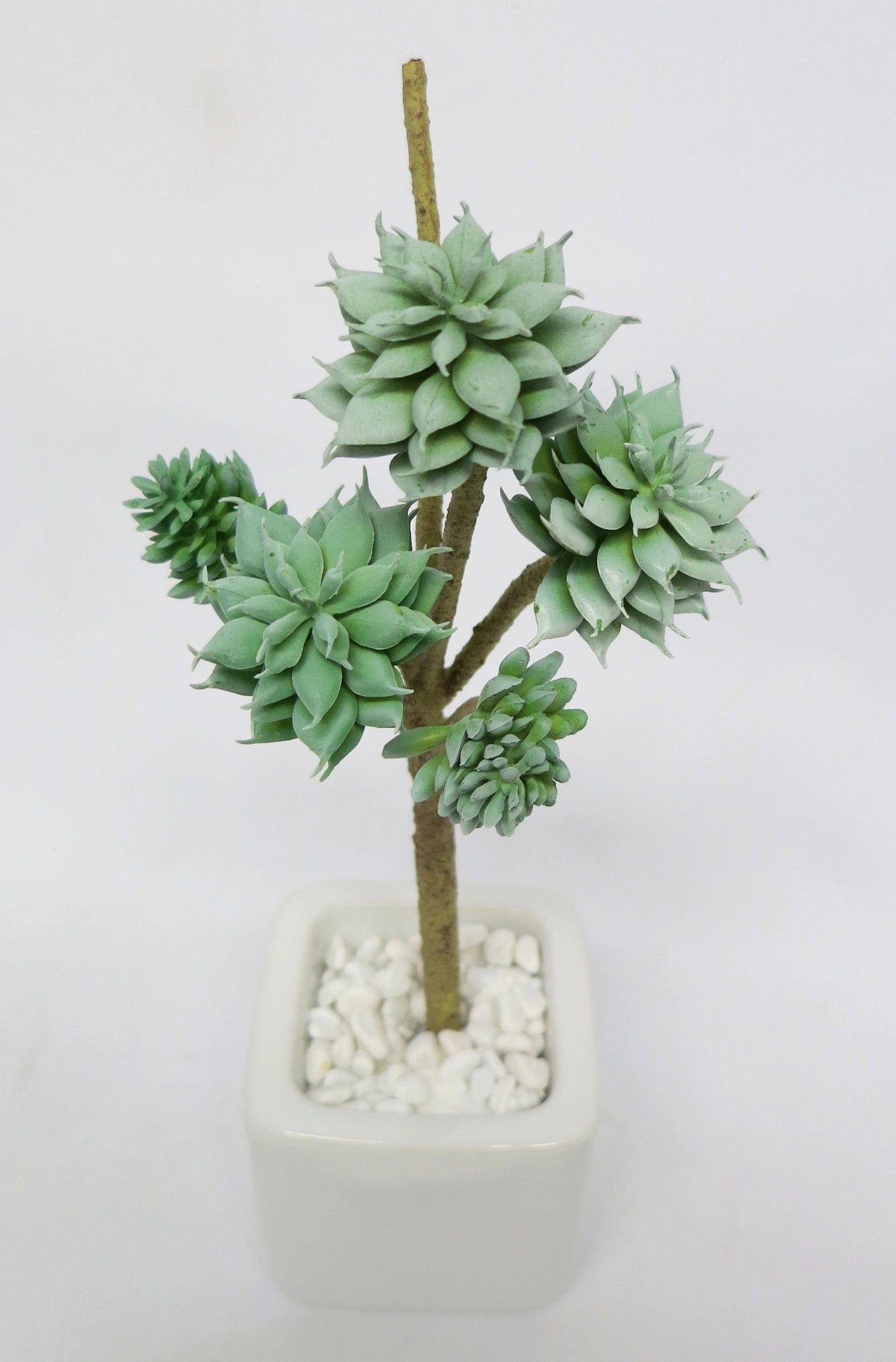 SP0180 Macabeana Echeveria Pick (5 Heads) 28cm Green