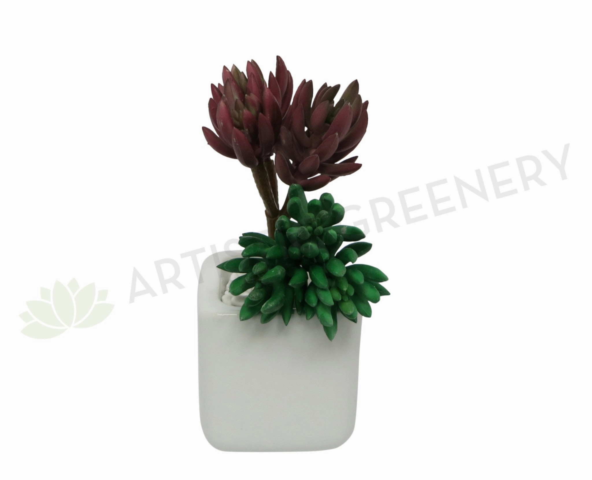 SP0181 Sedum Succulent Pick 18cm Green / Red mini ornamental plant  