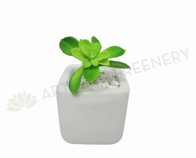 SP0185 Mini Green Succulent 17cm mini ornamental plant  