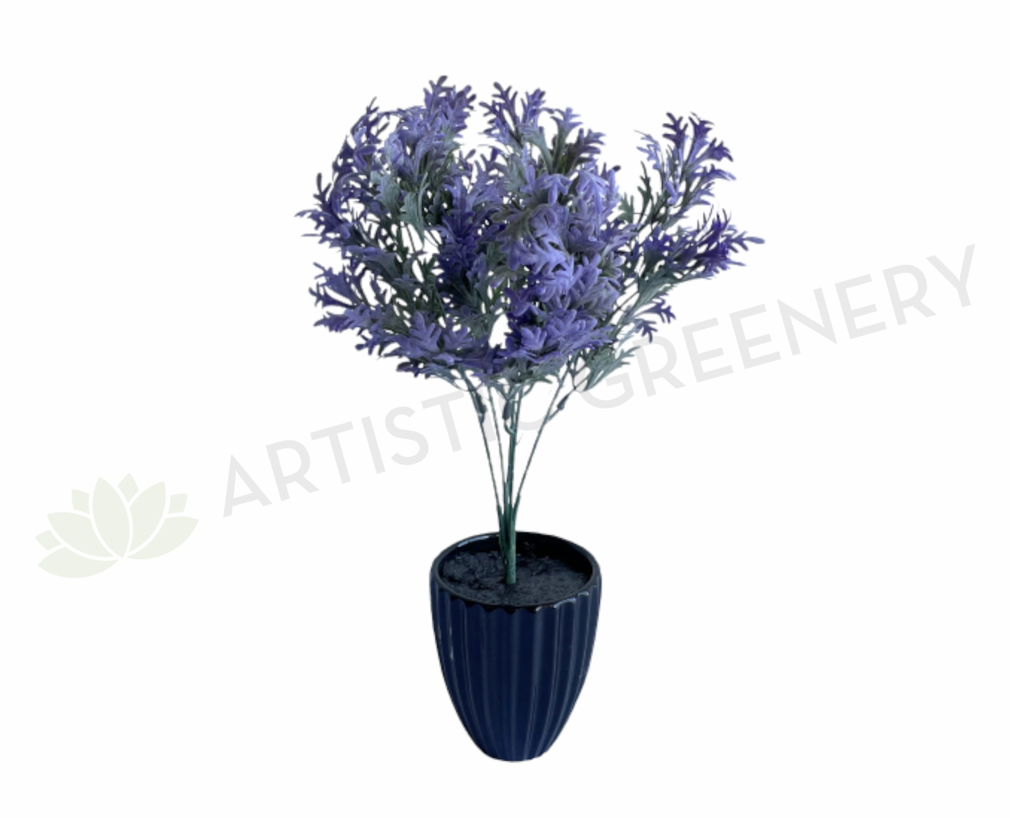 SP0200 Dusty Miller Plant 30cm Purple indoor plant stand  